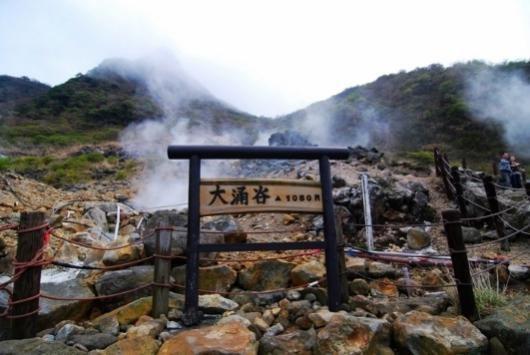 外国游客开始涌入中国农村，一场文化与自然的深度邂逅