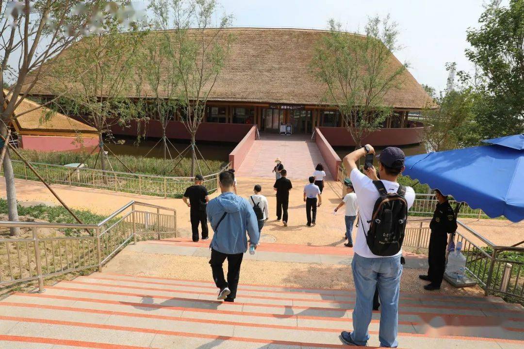 紫荆花开声，小伙的5万音符之旅