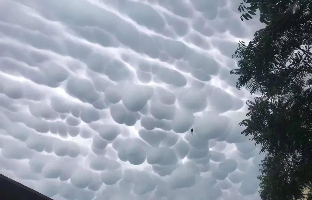 乳状云，特大暴雨的先驱？——一次关于天气奇观的探索
