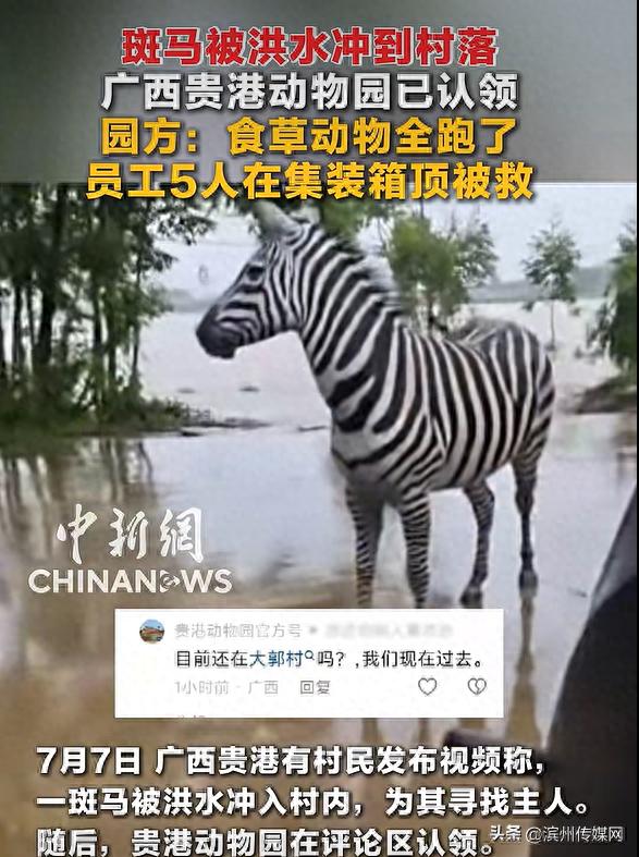广西一动物园回应员工锁死猛兽区，安全与责任的双重考量